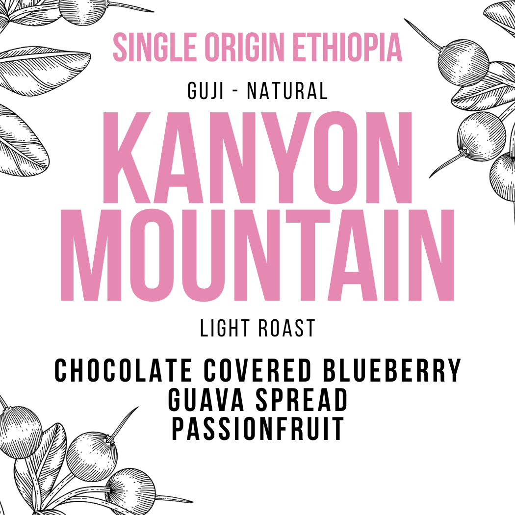 Ethiopia Guji - Kanyon Mountain | FREE SHIPPING +$40 – Jaho Coffee
