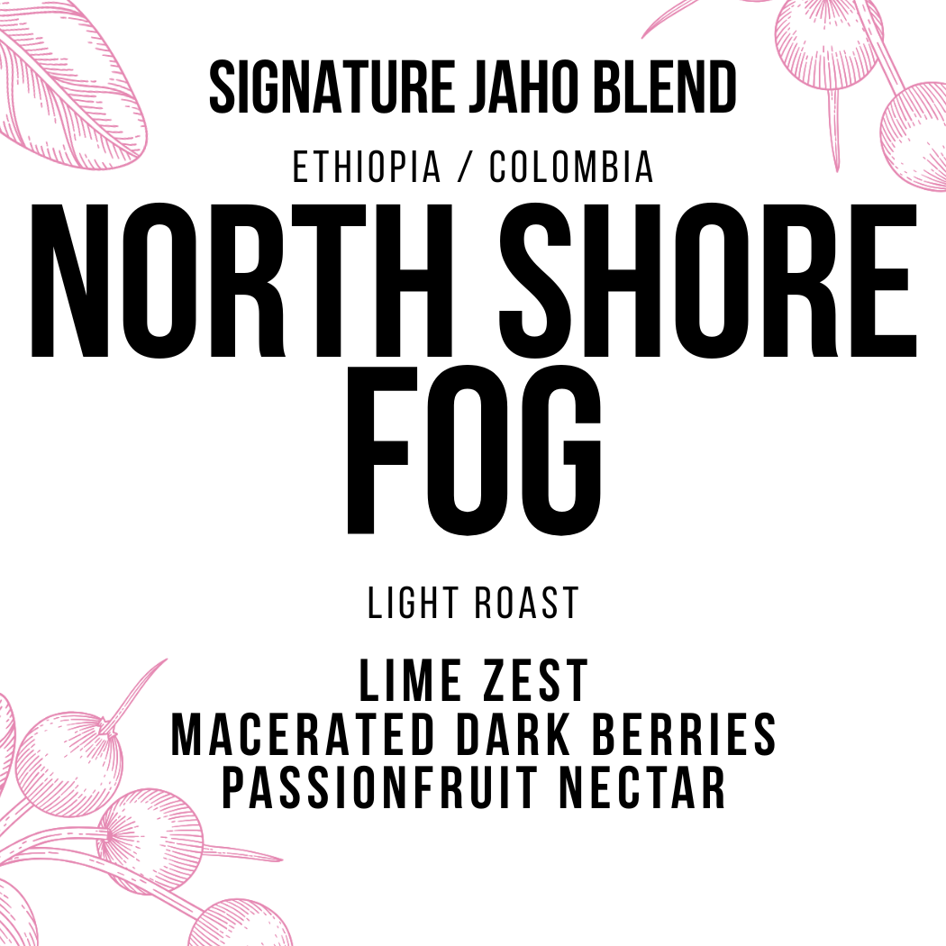 North Shore Fog