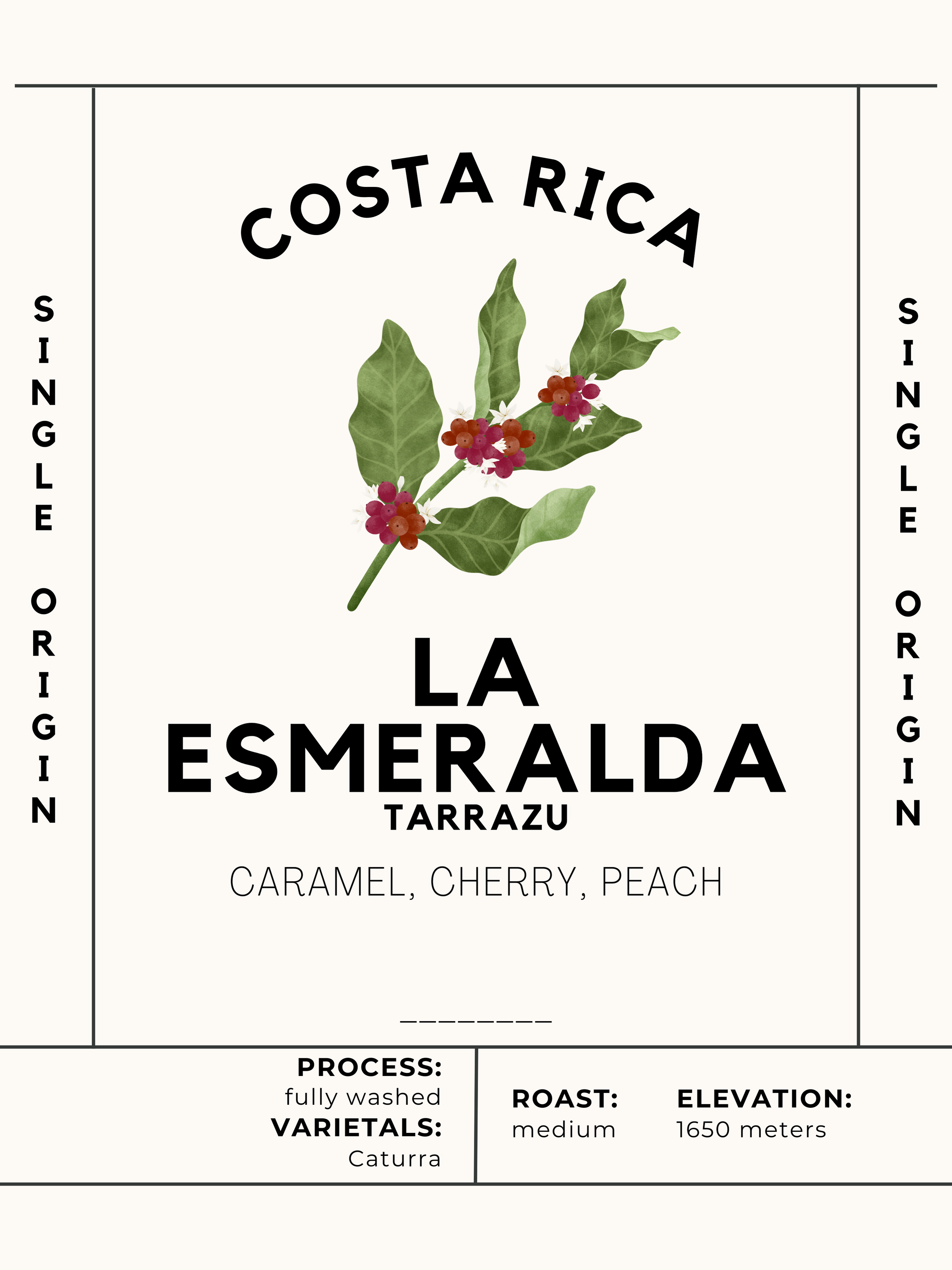 Costa Rica Tarrazu - La Esmeralda Senor Jimenez - Jaho Coffee Roaster